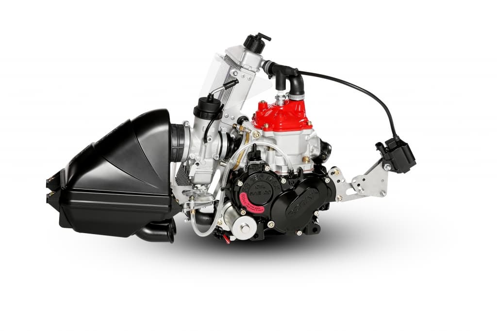 Rotax 125 MINI MAX evo Kart Engine
